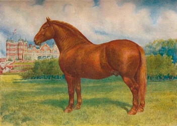 Suffolk apja Wedgwood herceg, c1902 c1910