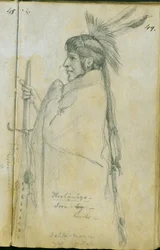 Hoohamaza avagy vasláb, 1851