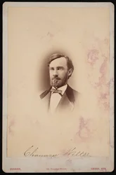 Chauncey Wiltse portréja 1834-1894, 1875-1876.