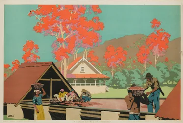 Egy kakaóbirtok Trinidadban (színes litho)
