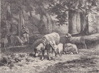 A bárány, a Magasin Pittoresque-ből, 1862.