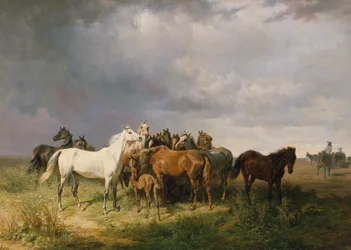 Lovak a Pusztán