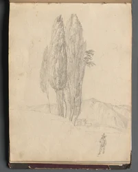 Album Róma és környéke kilátással, Tájtanulmányok, 20a oldal: Fák