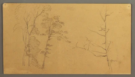 Rajz, Fák csoportja egy halott fa felső részével., 1866