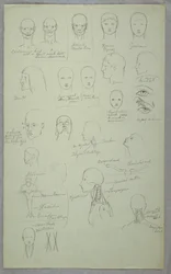 Rajz, anatómiai tanulmányok, 1865-70