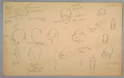 Rajz, anatómiai tanulmányok, 1865-70