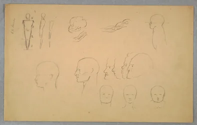 Rajz, anatómiai tanulmányok, 1865-70