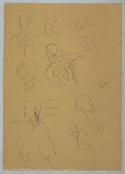 Rajz, anatómiai tanulmányok, 1865-70
