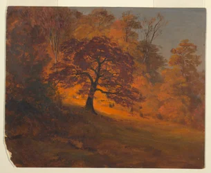 Rajz, Őszi lombozat, 1867