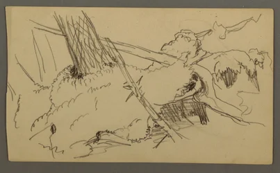 Rajz, fa tövében, szikla, valószínűleg 1877