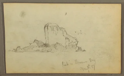 Rajz, Bireds, "Szikla a Panama-öbölben"; hátoldal: "Nehéz indák", 1857. május 15.