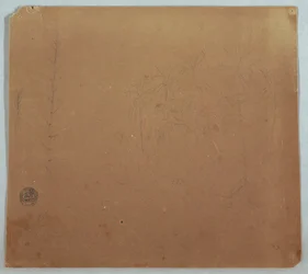 Rajz, Botanikai vázlatok, Valószínűleg bambuszok, pálmák és bokrok, Ecuador vagy Kolumbia, 1853 vagy 1857
