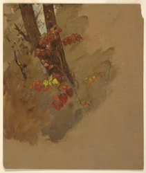 Rajz, botanikai tanulmányok, 1860-70