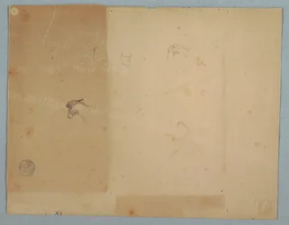 Rajz, Szamárfejek részletei, Dél-Amerika, 1853