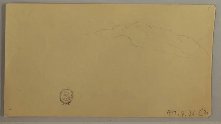 Rajz, Virágzó növények, 1856 körül