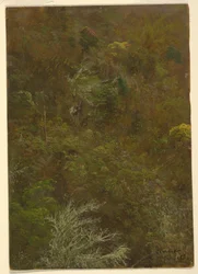 Rajz, Domboldal Bokrokkal és fákkal borított domboldal, 1865. július