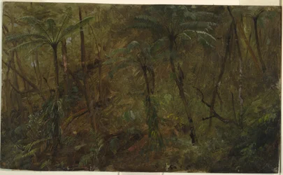 Rajz, A dzsamaciai erdőben, Nyugat-India, 1865
