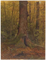 Rajz, Az erdőben, valószínűleg Maine, 1850-60