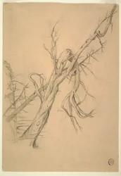 Rajz, Indián tábor, Grand Manan, Fundy-öböl, 1851 szeptembere
