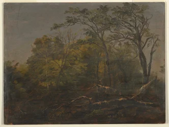 Rajz, Maine Woods, 1845-55