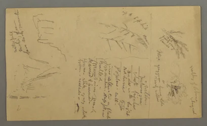 Rajz, Növénytanulmányok, Növényjegyzetek, Vízesés, 1868