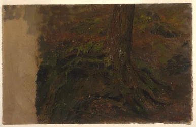 Rajz, Tanulmány egy fatörzsről, 1850-60