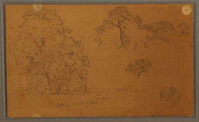 Rajz, Fák, 1857