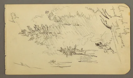Rajz, Fák ködben, talán 1878