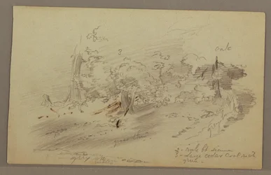 Rajz, fák, valószínűleg 1860-as évek