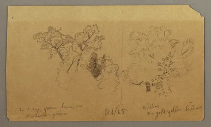 Rajz, Két fatanulmány, 1865 októbere