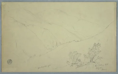 Rajz, A Blue Mountain Peak látképe a Salloway Hill közeléből, Jamaica, 1865. július