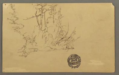 Rajz, Fás part, valószínűleg 1877