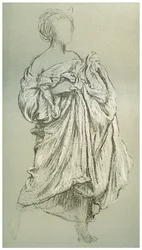 Daphnephoria tanulmánya, 1880-1882