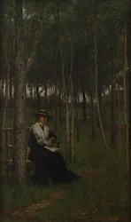 Álmodozás, 1883