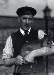 Egy állattartó falkabát tart, 1920. október (f/w fotó)