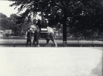 Ázsiai elefánt, „Jessie” két hölgyet és egy gyereket lovagol meg, miközben egy állattartó vezeti a londoni állatkertben, 1914. május