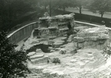 Monkey Hill