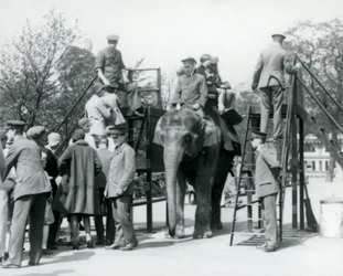 Látogatók sorban állnak egy elefántlovaglásra, miközben mások öt gondozó segítségével felszállnak, Londoni Állatkert, 1927