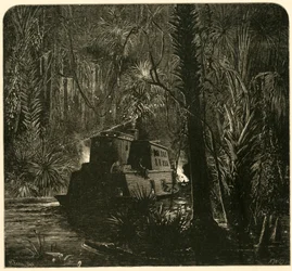 „Éjjel felszállni az Ocklawaha folyóba”, 1872.