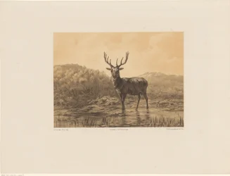 Hert in landschap   1369972   hu       hungarian Successfully Translated  Original: Maria met kind Translat: Maria met kind 1368870 hu hungarian Successfully Translated Original: Laatste avondmaal Translat: Laatste avondmaal 1381118 hu hungarian Successful