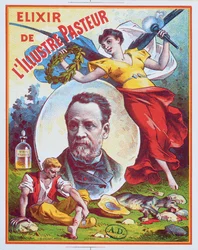 A híres lelkész elixírjének reklámja, 1900