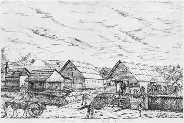 Album of the Isle of Pines, Kellékek elosztása, 1878-79