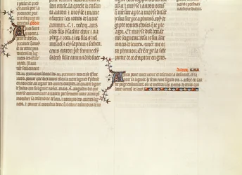 Egy oldal alja miniatűr nélkül, Jean de Sy Bibliájából, 1355 körül