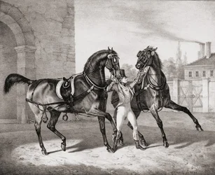 Szekérlovak Anglia királyának, 1836