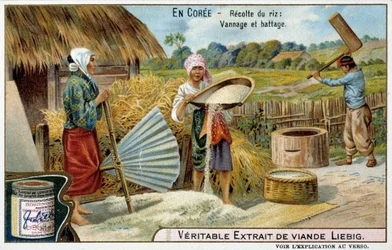 Coree: rizs betakarítás, szövés és cséplés - chromo. LIébig, v.1900