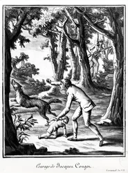 Jacques Cougon bátorsága, 1799