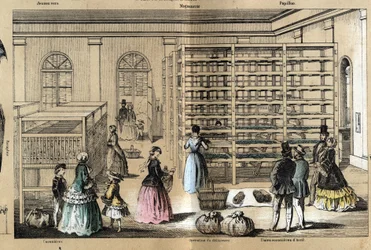 Kultúra és selyemtermékek leírása: a középpontban a magnerie a szericiculture különböző szakaszaival. „” la soie”” tábla in „” les Recreations instructives”” Jules DELBRUCK szinoptikus festménye, metszet 1860-ból. Magángyűjtemény.