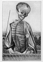 Doktor halál, az órák könyvéből, illusztráció a középkori és reneszánsz tudomány és irodalomból, írta és metszett Paul Lacroix, 1878