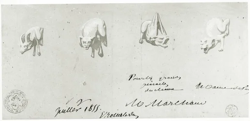 Rajz a Notre Dame vízköpőinek restaurálásához, 1855