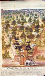 Elefántvadászat Sziámban, a sziámi jezsuiták beszámolójából, 1688 (wc papíron)